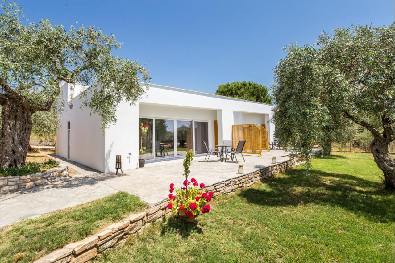 Apartment Avgoustidis